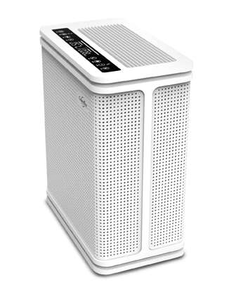 Portable True HEPA Air Purifier