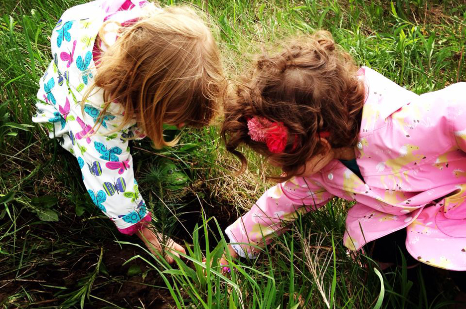Children planting trees