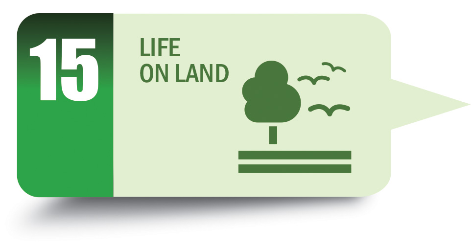 Environmental Conservation