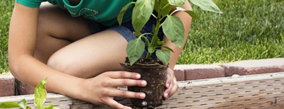 Getting your Hands Dirty