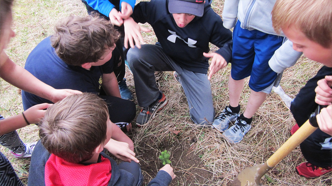 Students planting trees