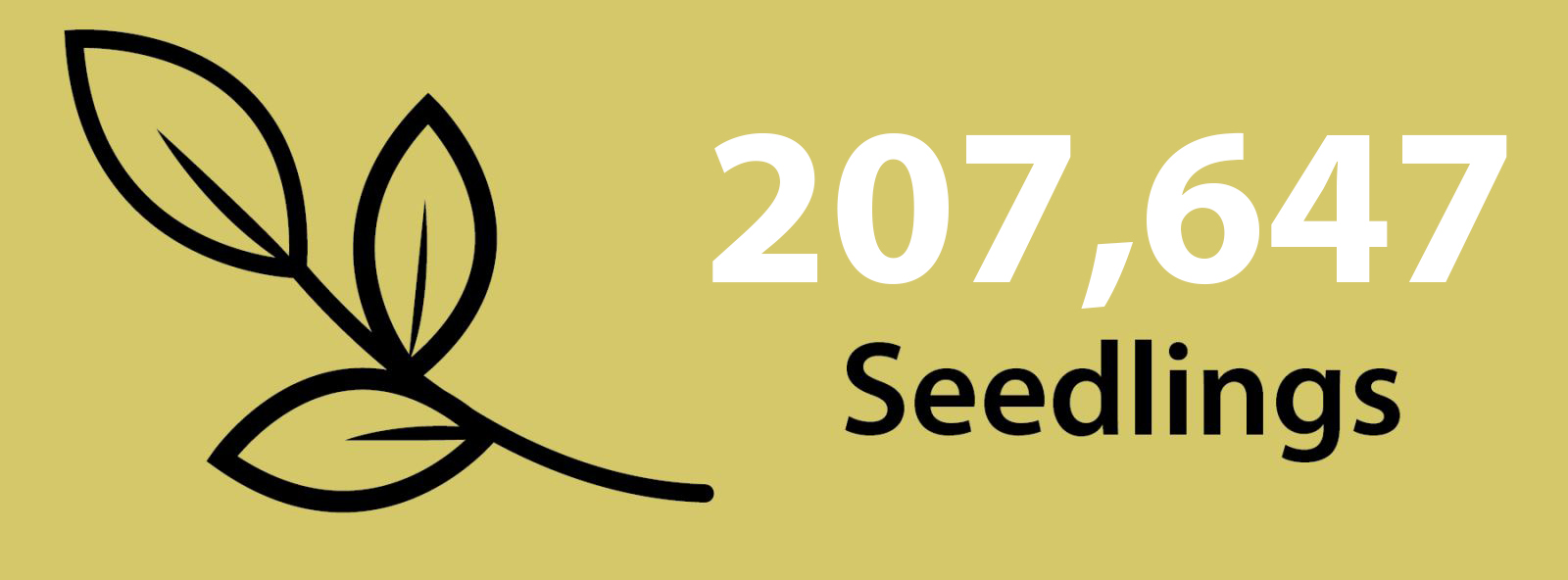 207, 647 seedlings planted since 2009